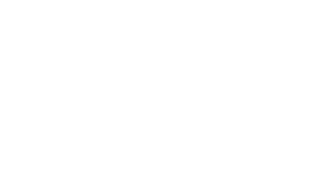 pinecone.webp